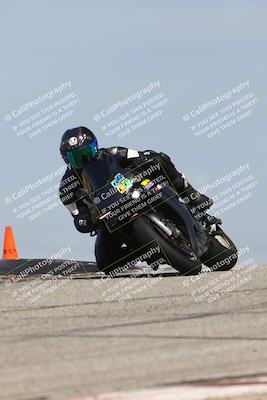 media/Mar-22-2025-TrackDaz (Sat) [[0456df0c41]]/Group B/Session 2 (Grapevine)/